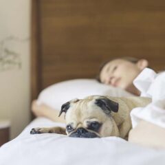 Implantationdentistrypa